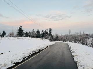 Delight Homestay Gulmarg - 3