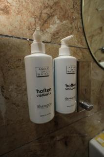 The Hoften Vibranta Haridwar - 3