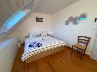 Les mouettes rieuses - 5