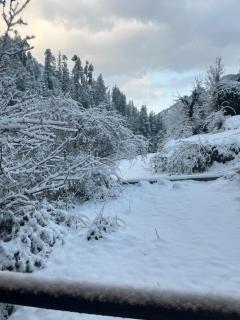 jibhi heritage cottage - 2