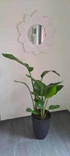 Bellinzona, bed & breakfast di D, alloggio in casa privata con accesso privato con colazione - 8