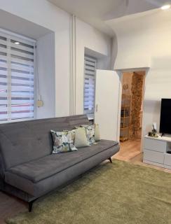 Domillion 1bdr Quiet City Hall apt D1115 - 1