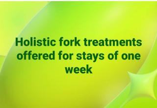 Paradise Ashna Vikram - 8