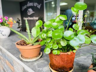 Chean-Chean House - 9