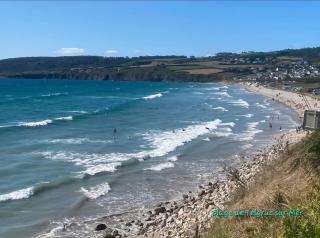 Les mouettes rieuses - 4