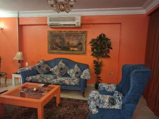 Abass elAkad Apartment with three bedroom - 0