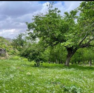 Nuratau Mountains Guesthouse- Transport,Rooms & Hiking Tours - 7