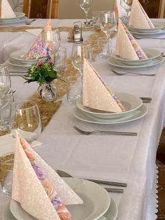 PENSION EUROPA - Diakovce SALA - 4