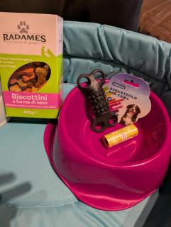 La Corte Dei Sogni - 8