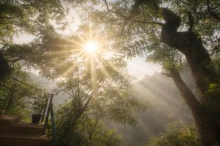 Ella Nithis Eco Cottages - 9