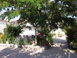 LES Roses Trémières - 8