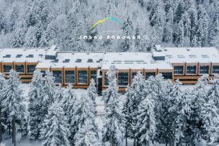 Kokhta Mitarbi Resort - studio in Bakuriani B3 404 - 8