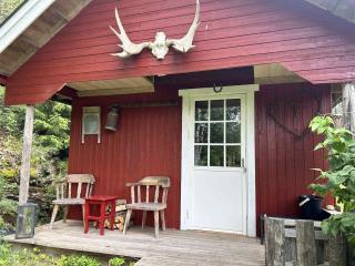Cozy Off-Grid Cabin - No Power, No Running Water - 8
