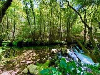 Casa da Varziela - 7