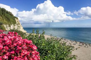 2 Bed in Beer oc-jbpio7 - 3