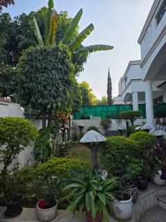 Lush Living Suite - 6