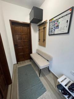 Ćilibar Stara planina - 6