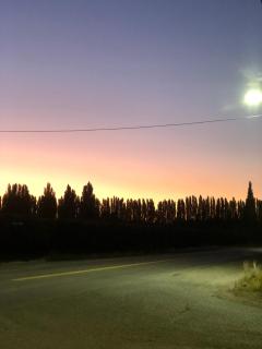 Alquiler Departamento Allen - 1