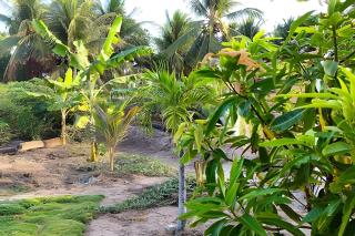 Bella Casa Bougainville - APA Barra de Mamanguape - 2