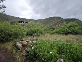 Skilderkrantz Nature Reserve - 8