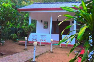 Wild safari canel resort - 1