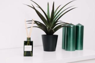 N3 Bright and Cosy apartament Park Benicalap N3 - 4