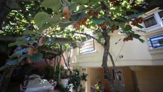 Lilian Apartments - Budva - 2