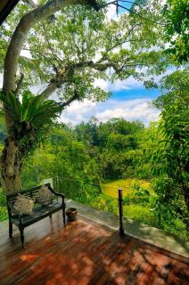Villa Kalisha - Romantic, Seclusion in the heart of Nature - Tegalalang - 2