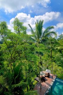Villa Kalisha - Romantic, Seclusion in the heart of Nature - Tegalalang - 8