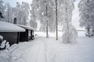 Lähderinne - 2 bedroom log cabin, private beach, wifi & sauna - Puolanka - 8