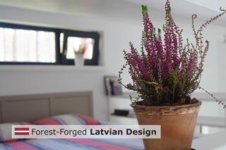 Rabarberi LV just 15min walk to SeaSide - 4