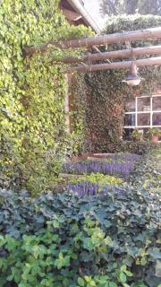 La Casona del Rio - Trelew - 3