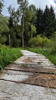 Apartmán Jasanek - 2