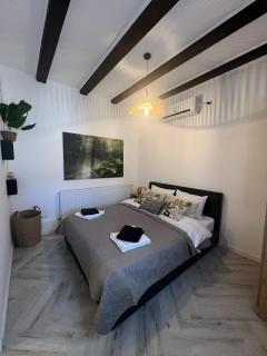 Beam Lodge One Bedroom Terrace Oradea - 8