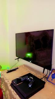 Tahrier square downtown cairo besaids AUC univ and GREECK CUMPS - 1