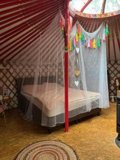 Het binnenerf yurt en keetjes - 4