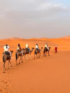 Sahara binich sercices - 4