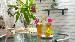 Le LiloVert - Studio 24 m2 - 8