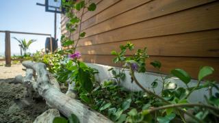 Seafront Cabin, Peaceful Retreat in Chacahua - 4