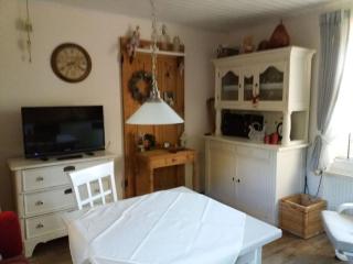 Dollhouse Modern retreat - Wiesmoor - 3