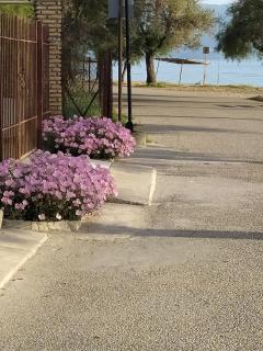 Seaside House - Aegium - 3