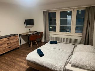 Central Living Brugg - Studio 12 - 6