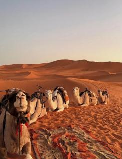 Merzouga desert camp - 3
