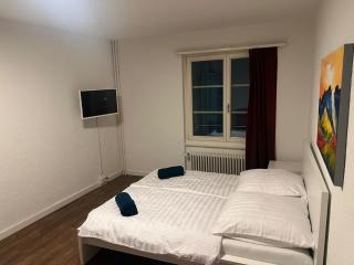 Central Living Brugg - Studio 11 - 5