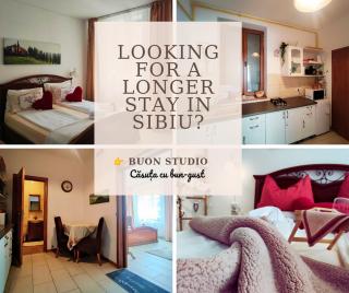 Pensiunea Buon Gusto Sibiu-motorcyle friendly,city center - 8