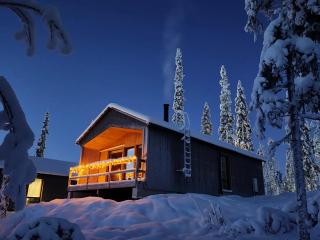 Villa Lakeside Ruka - 1