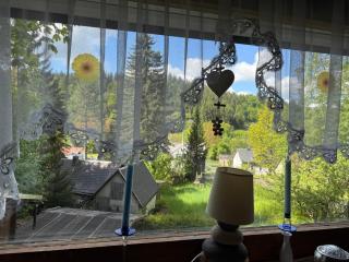 Waldhaus zur Kleinbahn - 7