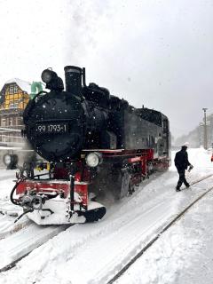 Waldhaus zur Kleinbahn - 5