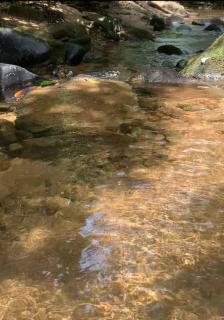 Chalé Sol Nascente - 5