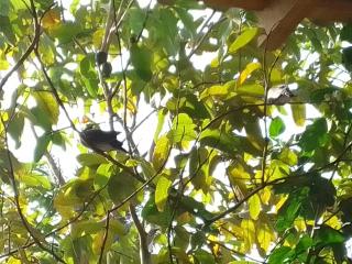 Villa Inspired by Nature Designed for Serenity - 2